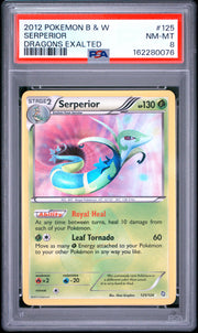 Serperior Dragons Exalted Pokemon Black & White Dragons Exalted 125 NM PSA 8