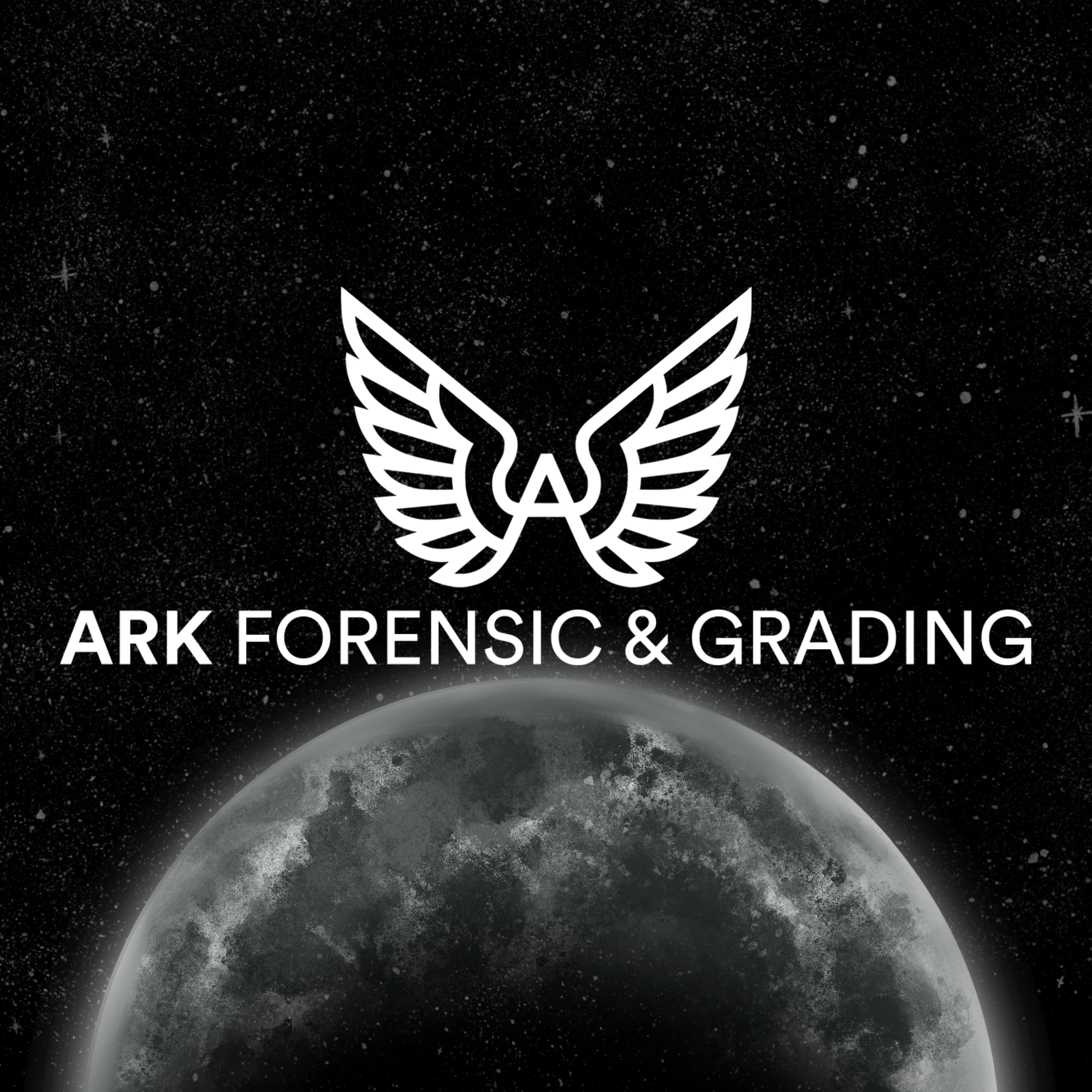ARK Economy Grading